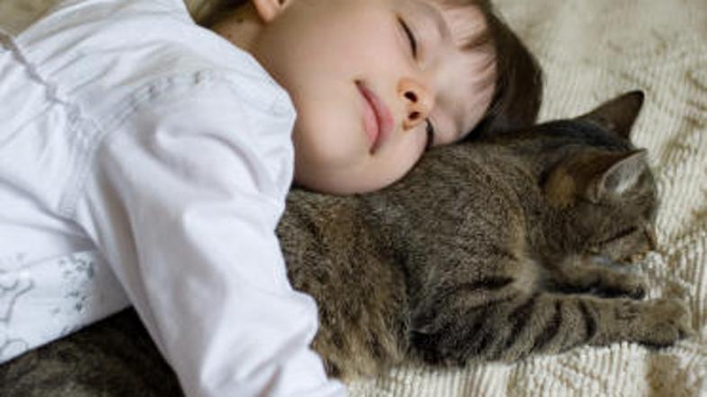 Ljudje in živali se na menjavo svetlobe in teme odzivamo podobno.