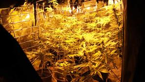 Takole je bil videti laboratorij Trboveljčana. (Foto: PU Ljubljana)