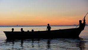 Festival migrantskega filma