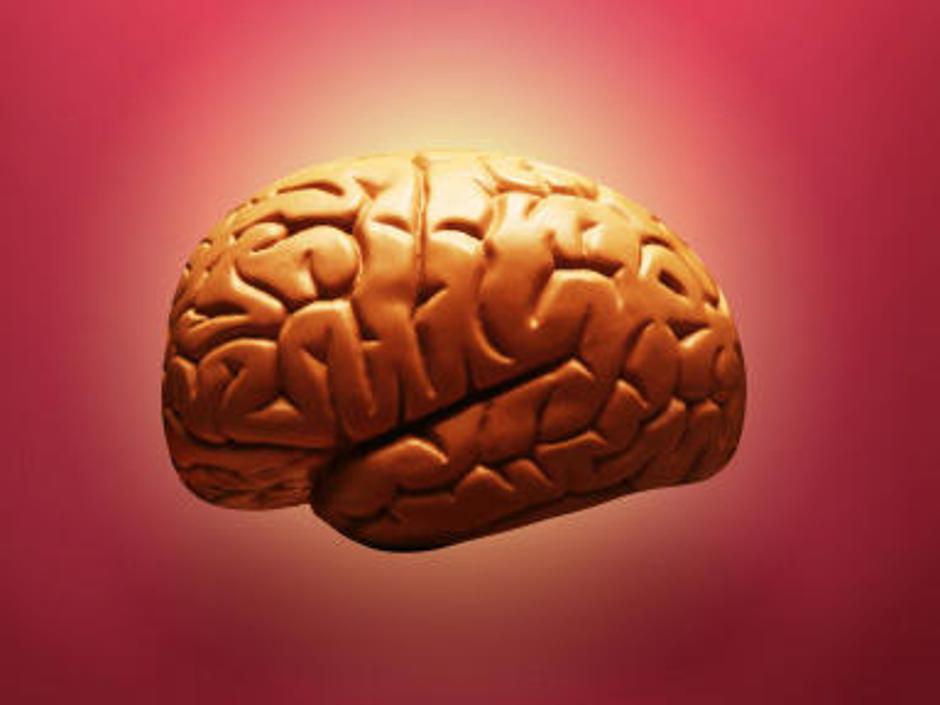  | Avtor: Žurnal24 main