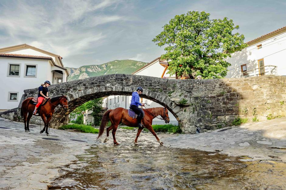 Ranč Tunink | Avtor: Saša Despot