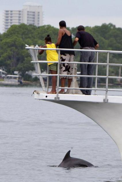 Barack Obama Florida