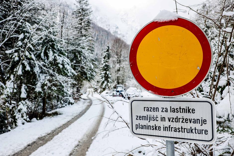 cesta na Jermanco | Avtor: Saša Despot