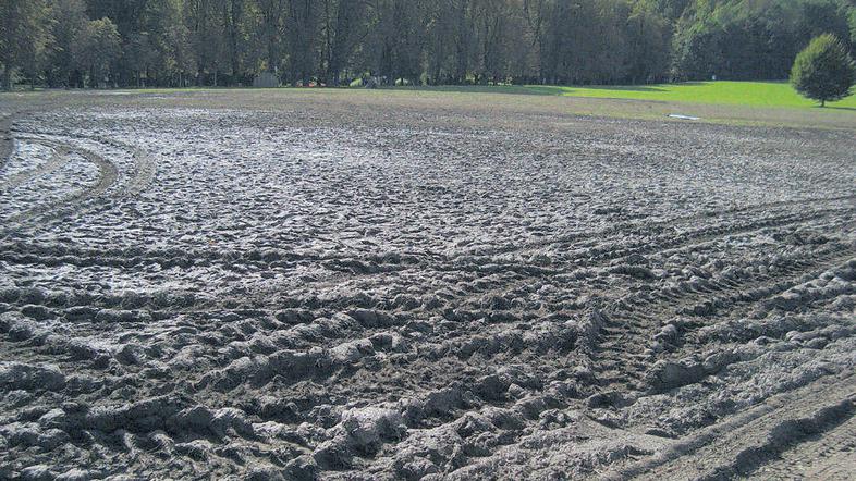 Na sobotnem žuru so zbrali okoli 20 tisoč evrov za odprtje prijazne sobe za beli