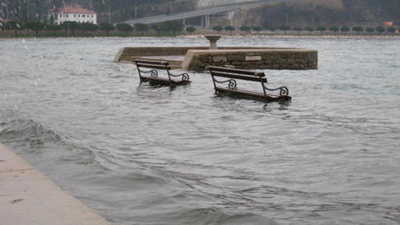 (Foto: Saša Islamović)