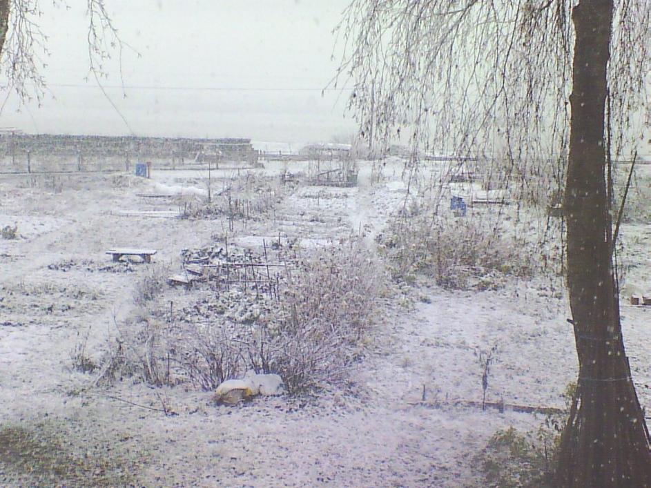 Sneg v Kamniku