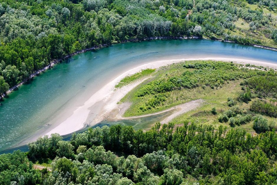 Drava | Avtor: Goran Šafarek