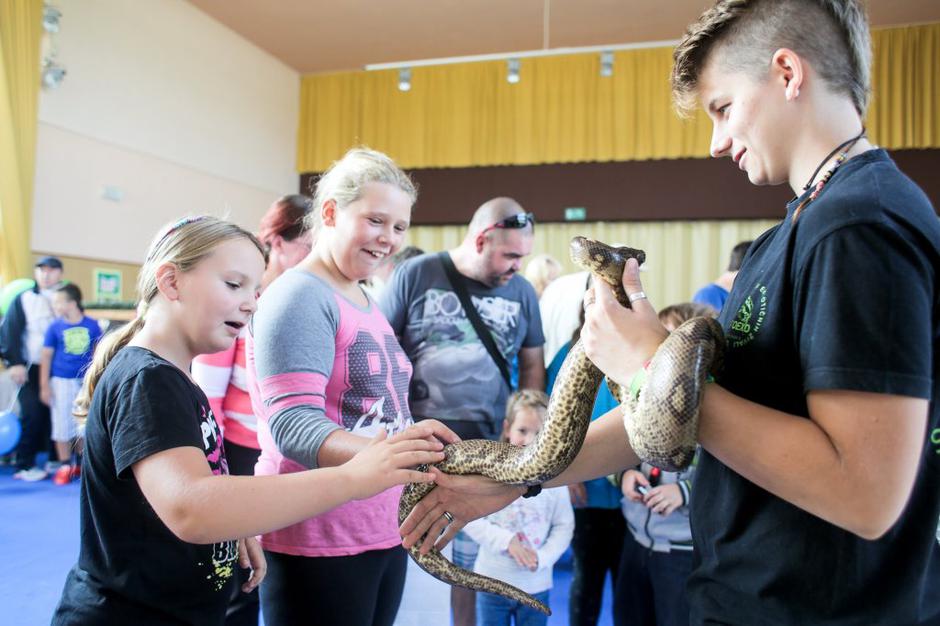 Sejem za ljubitelje živali | Avtor: Saša Despot