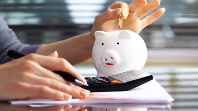 Razno 07.06.11, varcevanje, denar, sparovcek, foto: shutterstock