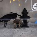 razno 03.10.13. A dog urinates on a new work by British graffiti artist Banksy o