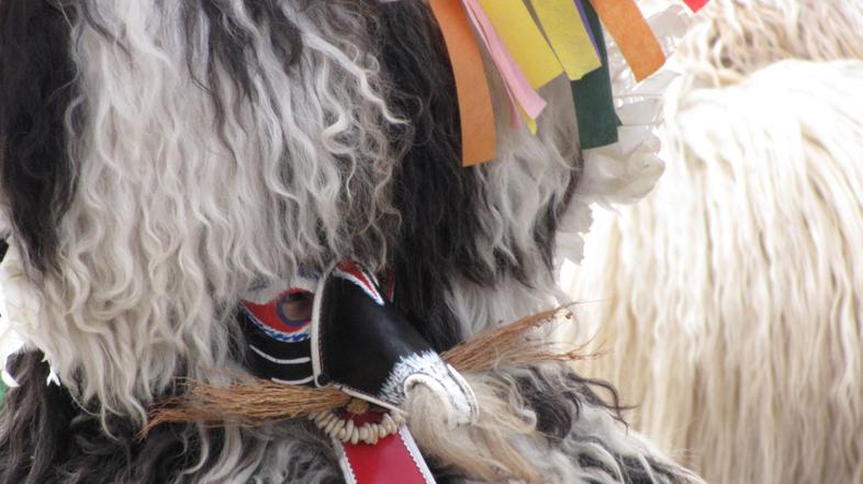 Gorenjska, 06.03.11, kranj, pust, karneval, povorka, maske, maskare, foto: iztok