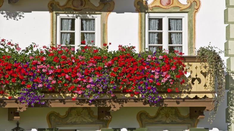 Balkonske rože