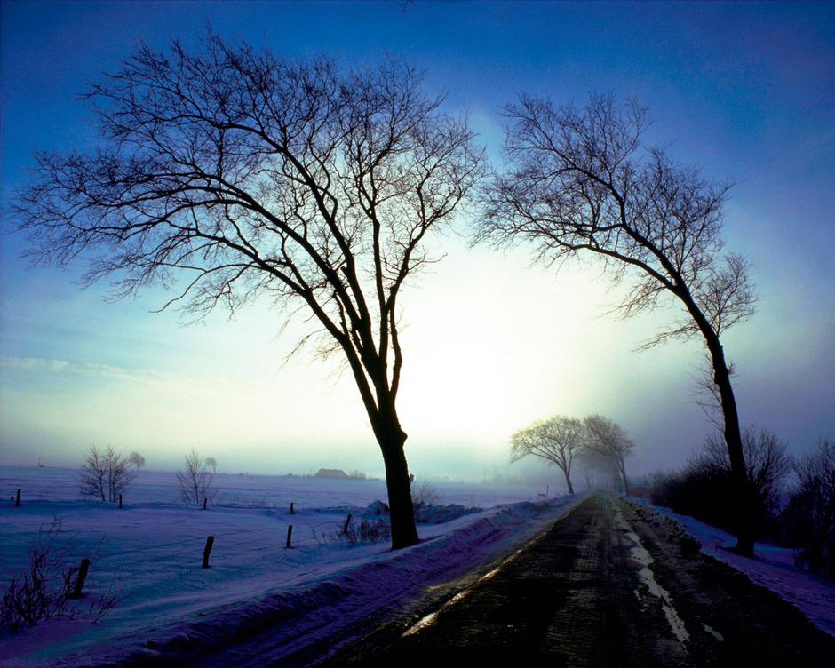 Veter | Avtor: Profimedia