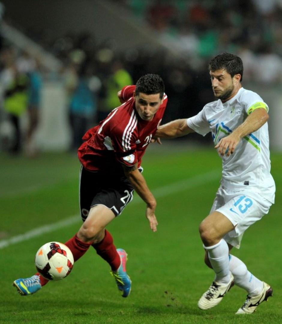 Jokić Roshi Slovenija Albanija Stožice | Avtor: Reuters