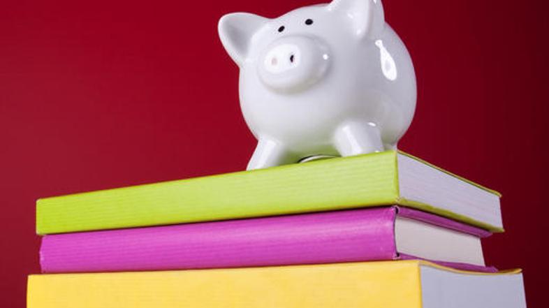 Pri doseganju ciljev je pomembno znanje, pa tudi pravi odnos. (Foto: Shutterstoc