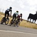 dirka po Španiji Vuelta kolesarstvo Almendralejo bik