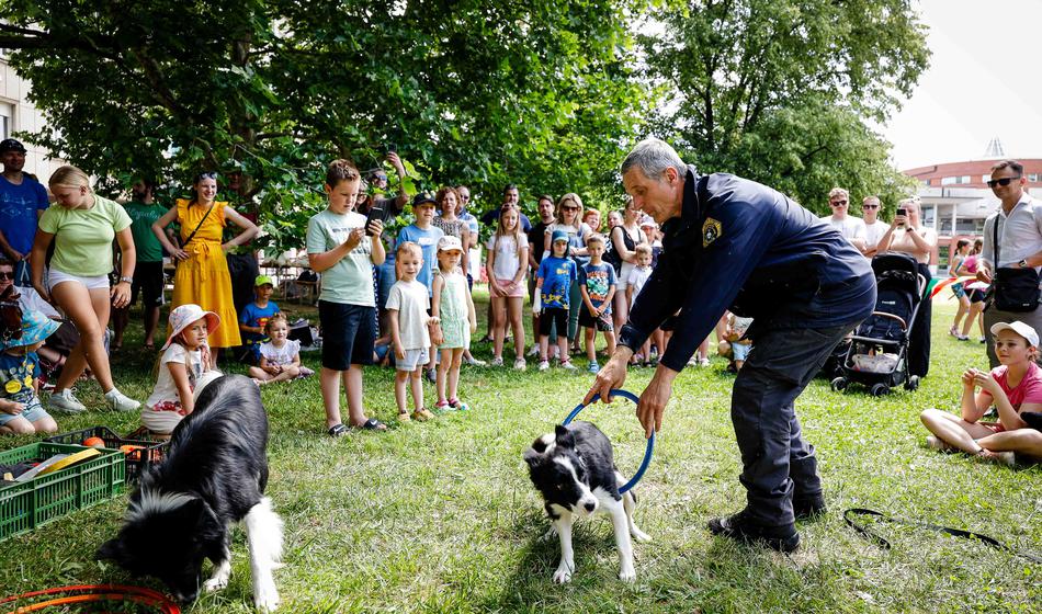 Častni gost je svojo titulo predal: Zgodba policista, ki je ganila Novo Gorico
