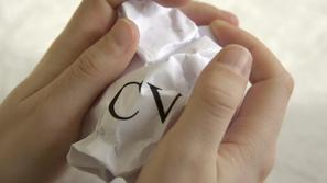 cv, delo, služba, zaposlitev