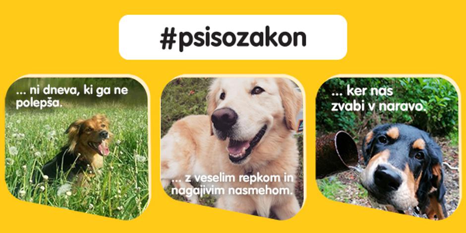 pedigree | Avtor: Mars Petcare