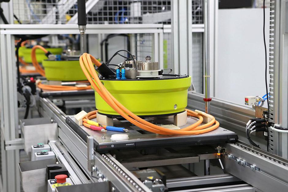 Elaphe | Avtor: Elaphe