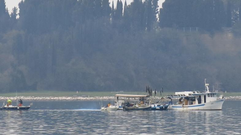 Slovenija 11.04.13, piranski zaliv, ribici, ciplji, ribolov, foto: Zurnal24