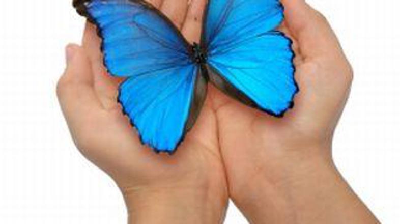 Proti bradavicam se lahko borimo na mnogo načinov.