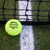 teniška žogica tenis črta mreža 