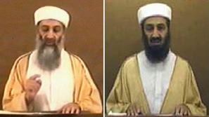 Bin Laden naj bi bil še živ glede na članek, ki je 9. novembra izšel v londonske