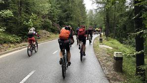 Gorsko kolesarstvo