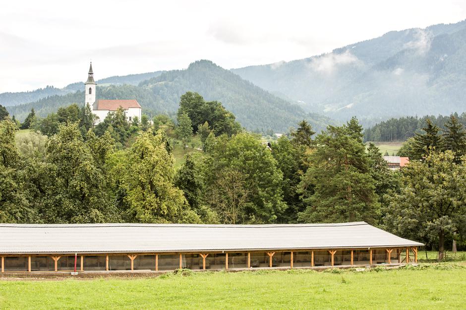  | Avtor: Salon Sauvignon