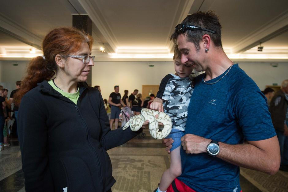 Dežela prijateljev | Avtor: Anže Petkovšek