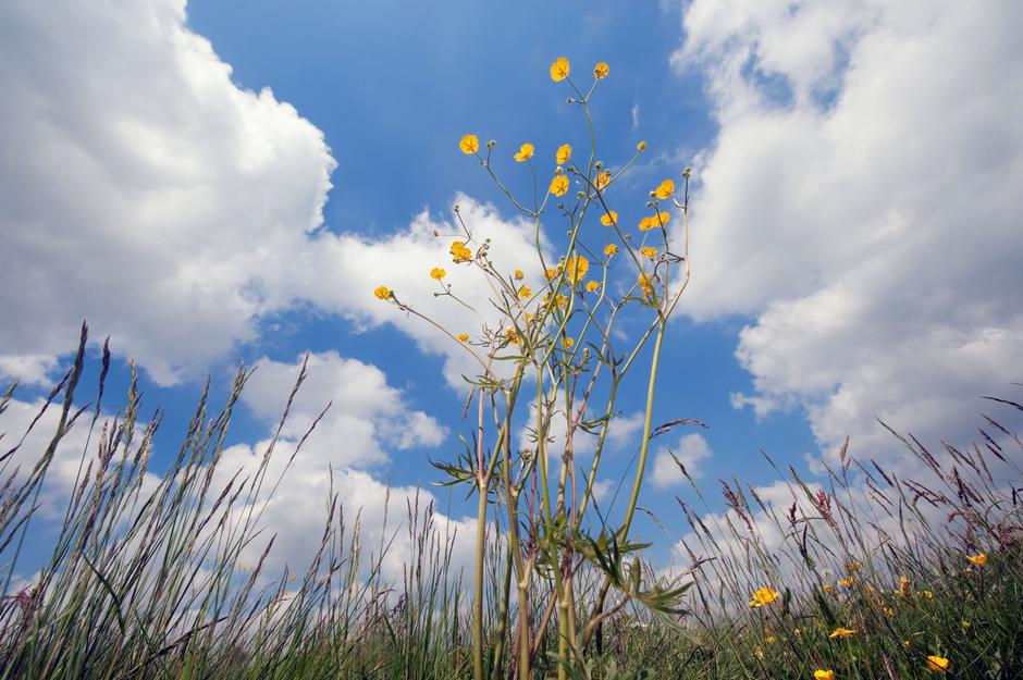 September | Avtor: Profimedia