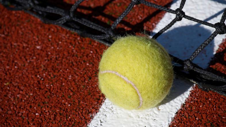 tenis žogica mreža črta