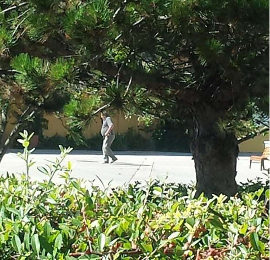 morilec izola | Avtor: Žurnal24 main