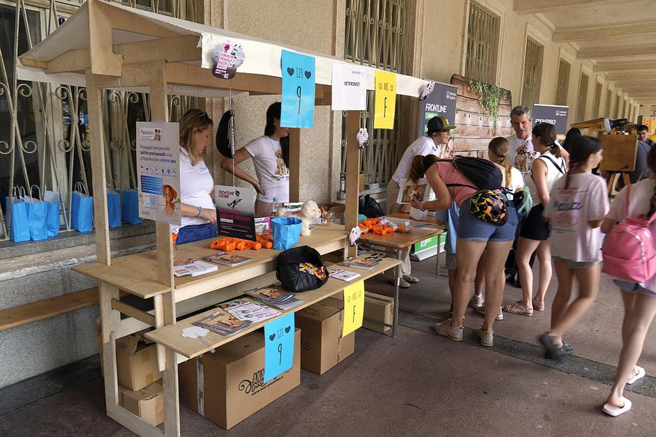 festival živali 2026 | Avtor: Matija_Janežič