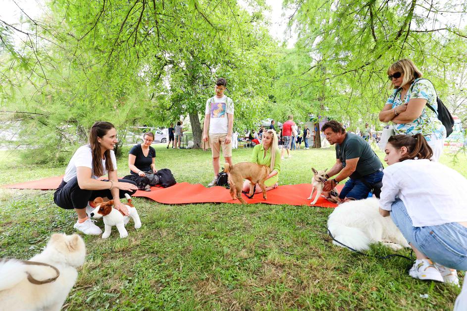 Festival za ljubitelje živali 2023
