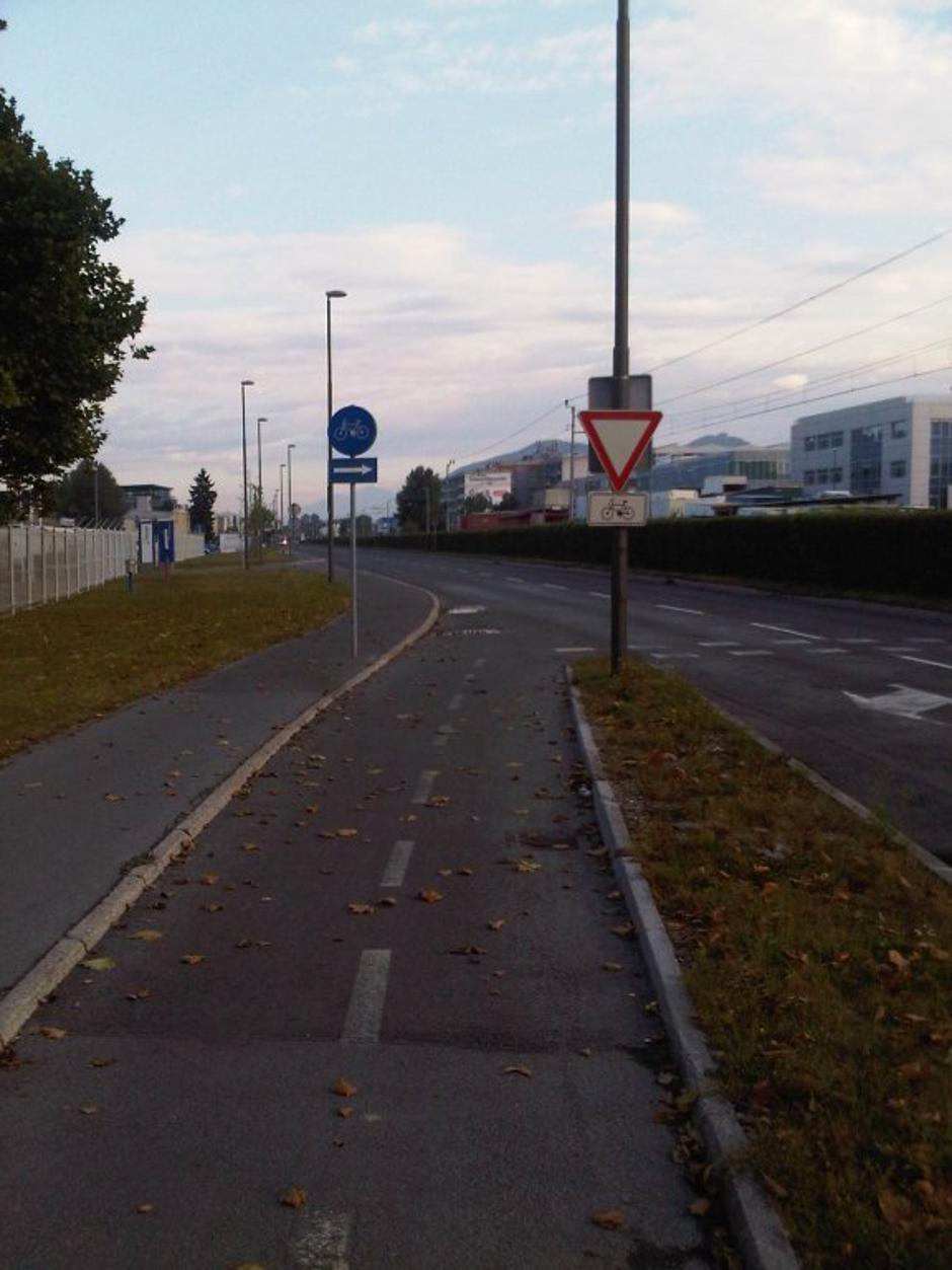 Branka kolo | Avtor: Andreja Cilenšek