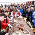 festival čokolade