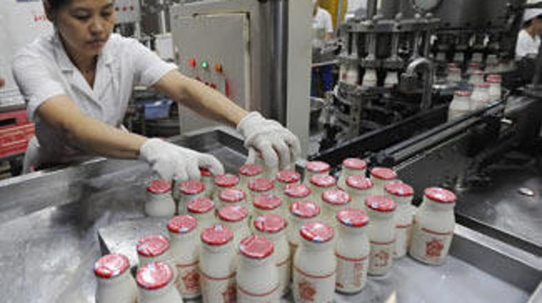 Uživanje kontaminiranih proizvodov povzroča nastanek ledvičnih kamnov ali odpove