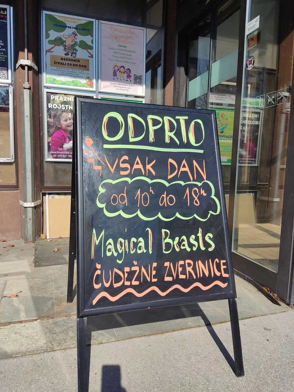 Čudežne zverinice Bled | Avtor: Čudežne zverinice Bled