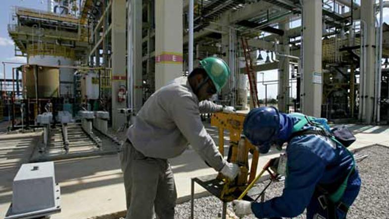 Petrobrasove delnice so ob objavi novice poletele v nebo, saj je 65-odstotni las