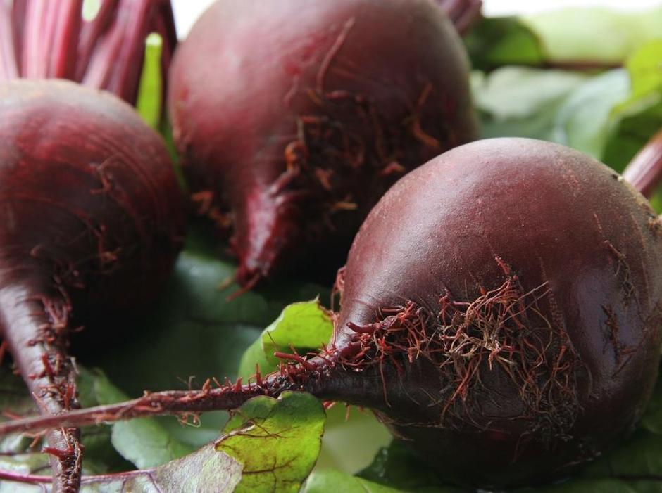 rdeča pesa | Avtor: Shutterstock