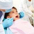 Skupna opredelitev pacientov za osebnega zobozdravnika se je v zadnjem letu zviš