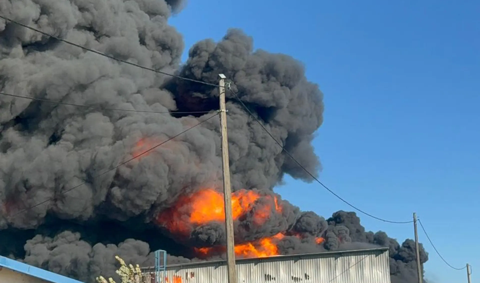 "Grozno, česa takega še nisem videla!"