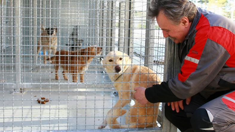 Mačja hiša se bo pritožila na postopek izbire upravitelja zavetišča.