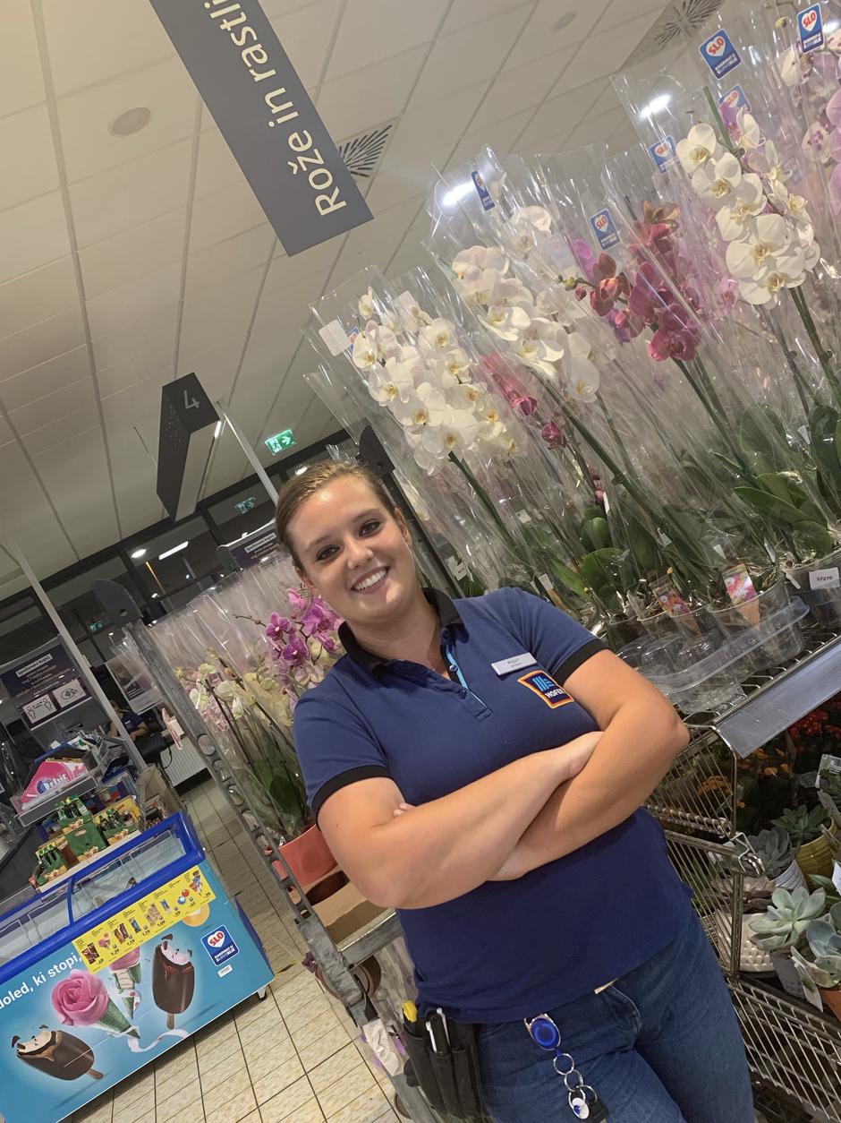 Hofer | Avtor: Hofer