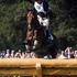 Eventing Cross Country, World Equestrian Games in Lexington, Kentucky
