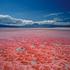 Lake Natron, Tanzanija