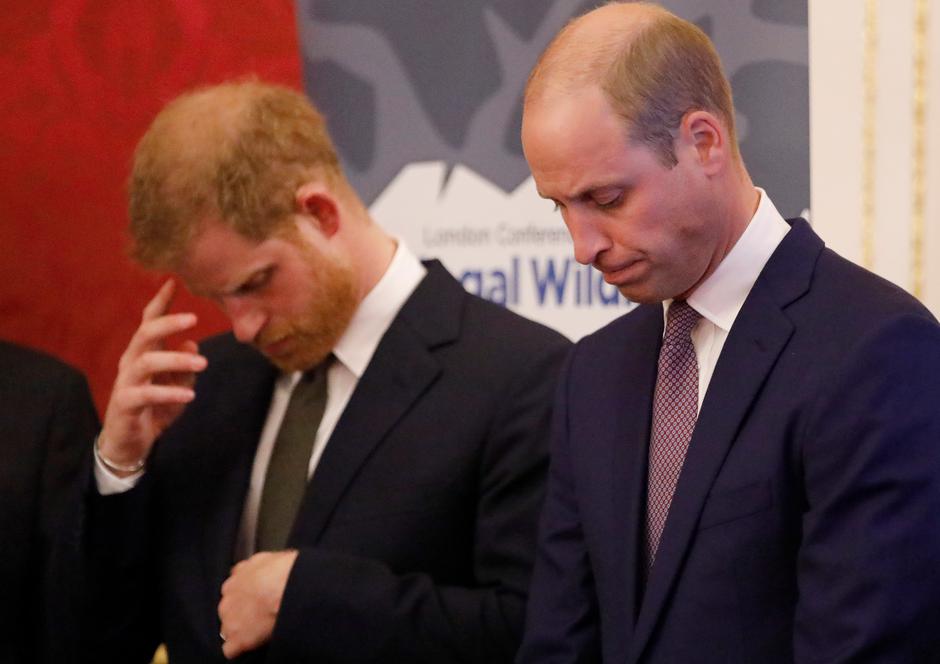 princa Harry in William | Avtor: Profimedia
