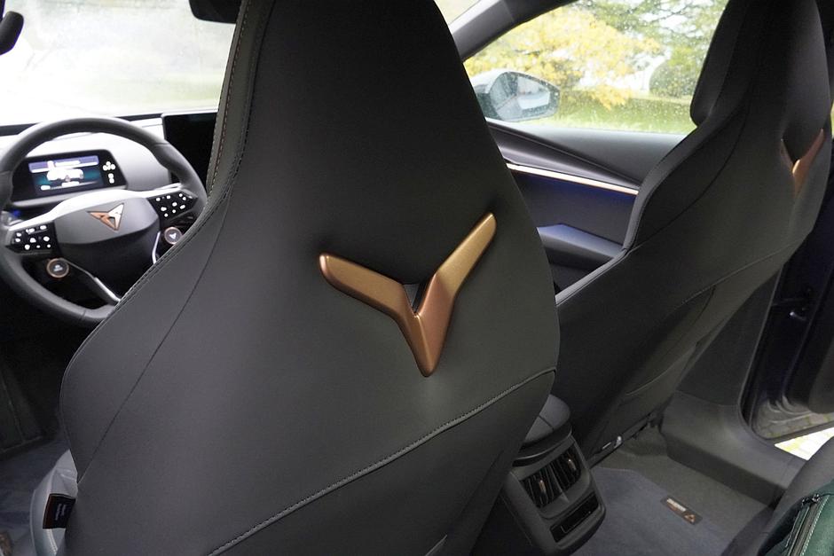 Cupra tavascan | Avtor: Matija_Janežič